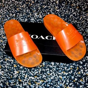 Coach Ulyssa Rubber Slides